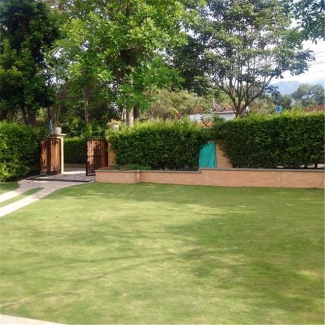 Casa de 4 alcobas en venta en Cn. Campestre Santillana, Piedecuesta, 1229 m² · foto 6 de 20