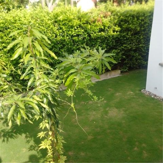 Casa de 4 alcobas en venta en Cn. Campestre Santillana, Piedecuesta, 1229 m² · foto 15 de 20