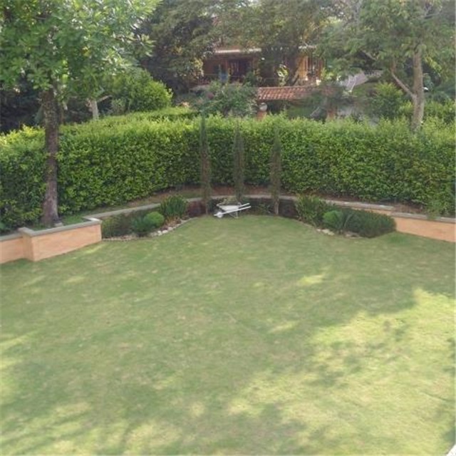 Casa de 4 alcobas en venta en Cn. Campestre Santillana, Piedecuesta, 1229 m² · foto 20 de 20