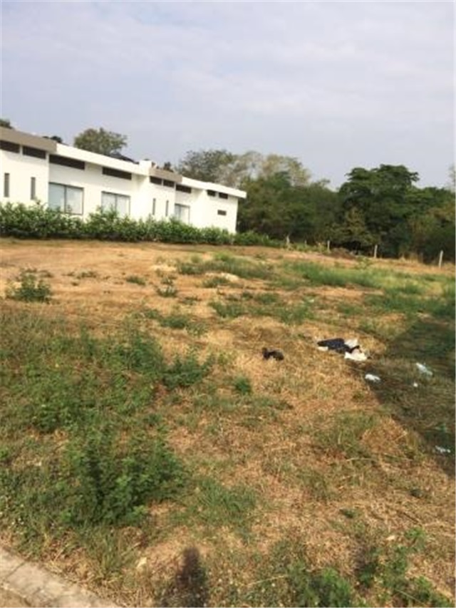 Lote en venta en Limoncitos, Ricaurte, 1100 m² · foto 3 de 17
