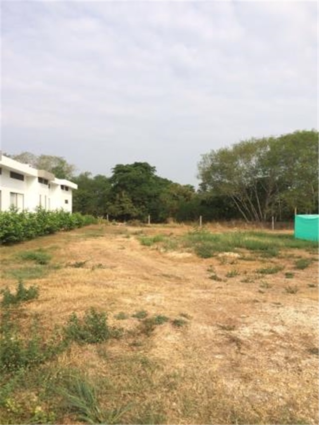 Lote en venta en Limoncitos, Ricaurte, 1100 m² · foto 6 de 17
