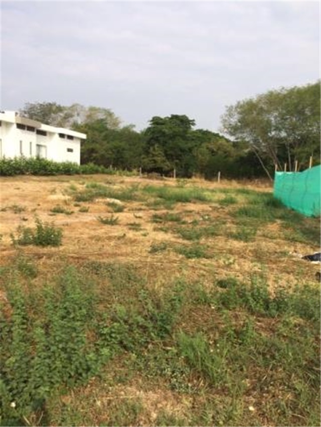 Lote en venta en Limoncitos, Ricaurte, 1100 m² · foto 5 de 17
