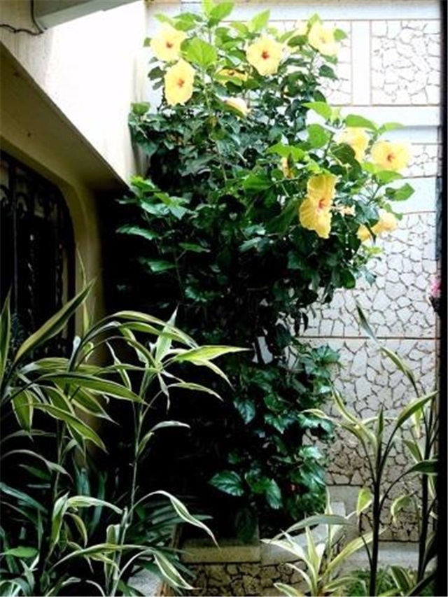 Casa de 6 alcobas en venta en Los Cedros, Bucaramanga, 400 m² · foto 18 de 24