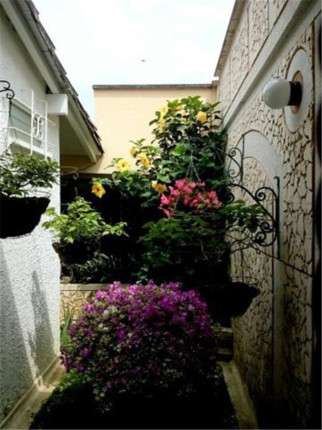 Casa de 6 alcobas en venta en Los Cedros, Bucaramanga, 400 m² · foto 11 de 24