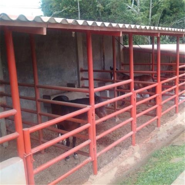 Finca en venta en Ruitoque Bajo, Floridablanca, 7000 m² · foto 6 de 17