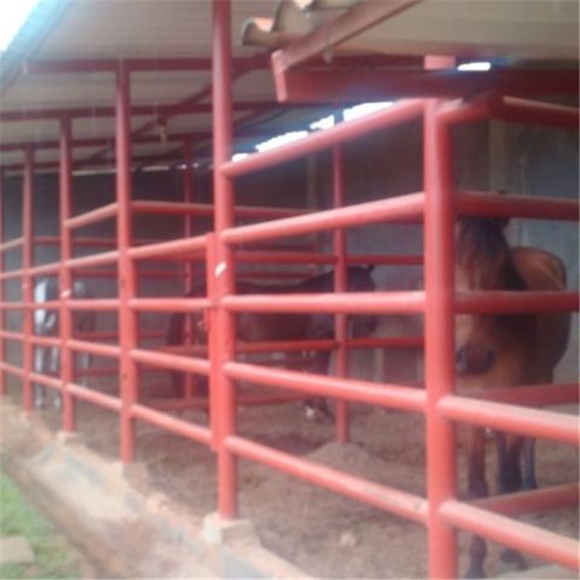 Finca en venta en Ruitoque Bajo, Floridablanca, 7000 m² · foto 4 de 17