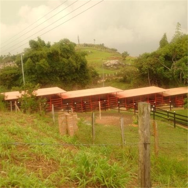 Finca en venta en Ruitoque Bajo, Floridablanca, 7000 m² · foto 8 de 17