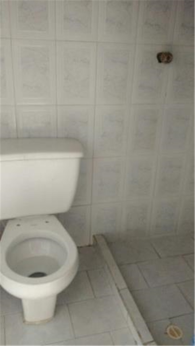 Casa de 14 alcobas en venta en Comuneros, Bucaramanga, 300 m² · foto 11 de 15