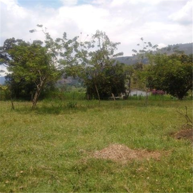 Finca en venta en El Guamo, Piedecuesta, 4000 m² · foto 7 de 24