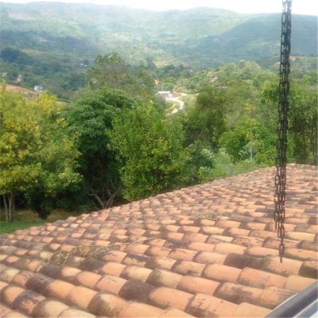 Finca en venta en El Guamo, Piedecuesta, 4000 m² · foto 11 de 24