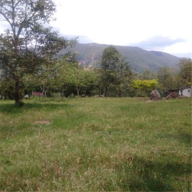 Finca en venta en El Guamo, Piedecuesta, 4000 m² · foto 5 de 24