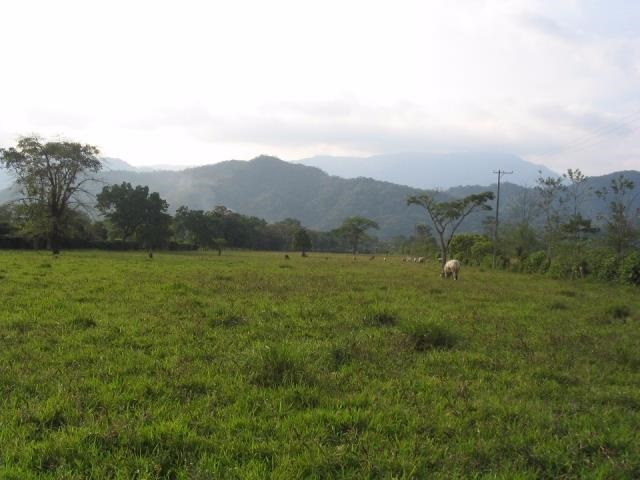 Lote en venta en Bochica Et Ii, Villavicencio, 39000 m² · foto 4 de 5