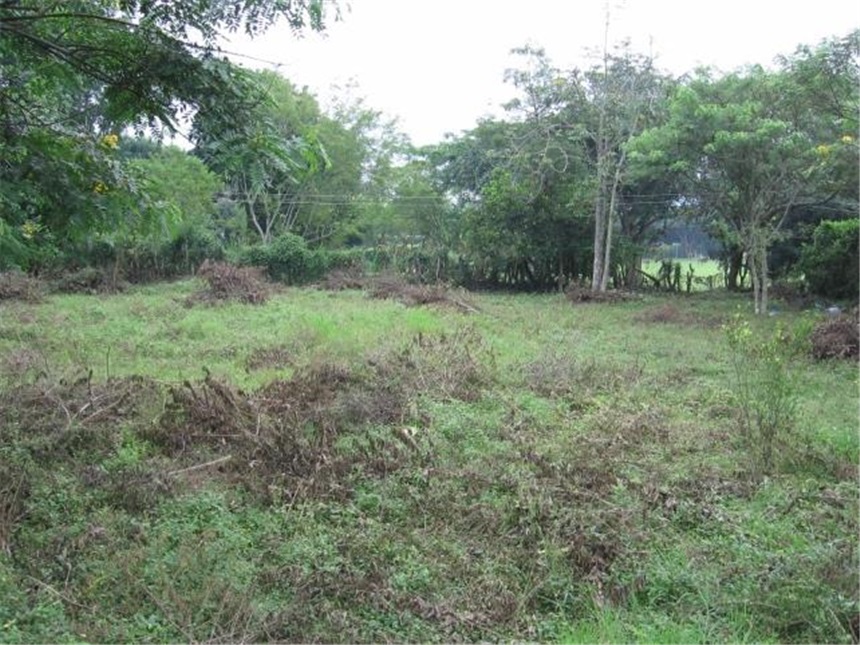 Lote en venta en Pance, Cali, 3852 m² · foto 6 de 6