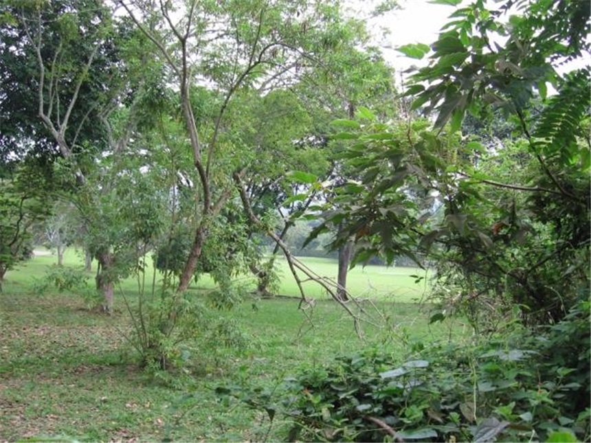 Lote en venta en Pance, Cali, 3852 m² · foto 2 de 6