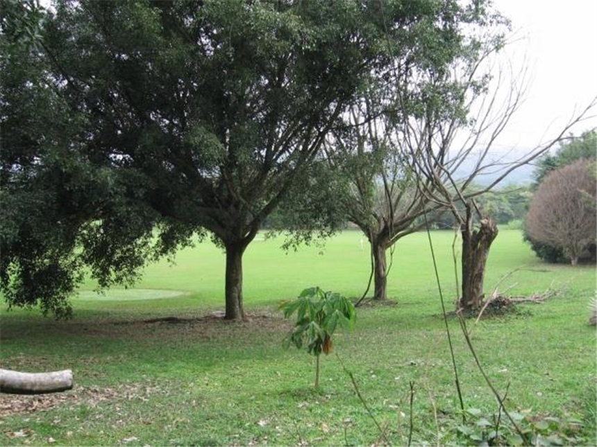 Lote en venta en Pance, Cali, 3852 m² · foto 4 de 6