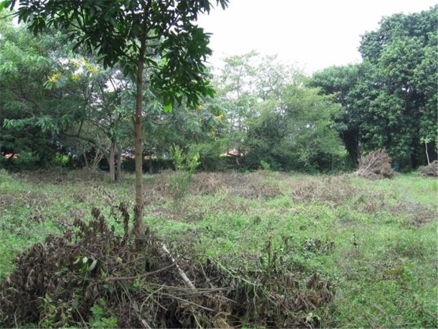 Lote en venta en Pance, Cali, 3852 m² · foto 5 de 6