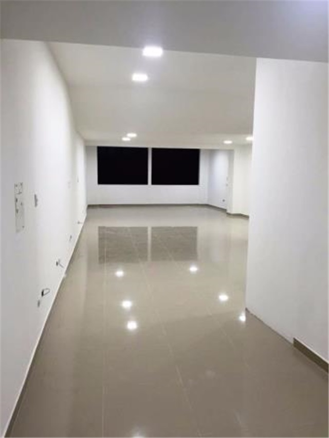 Local en Arriendo - Más