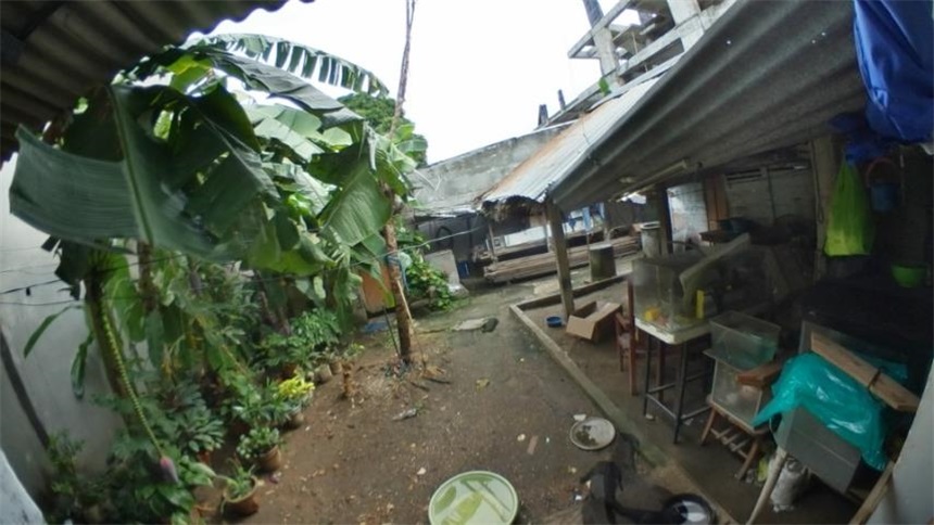 Lote en venta en Centro, Montería, 235 m² · foto 11 de 13