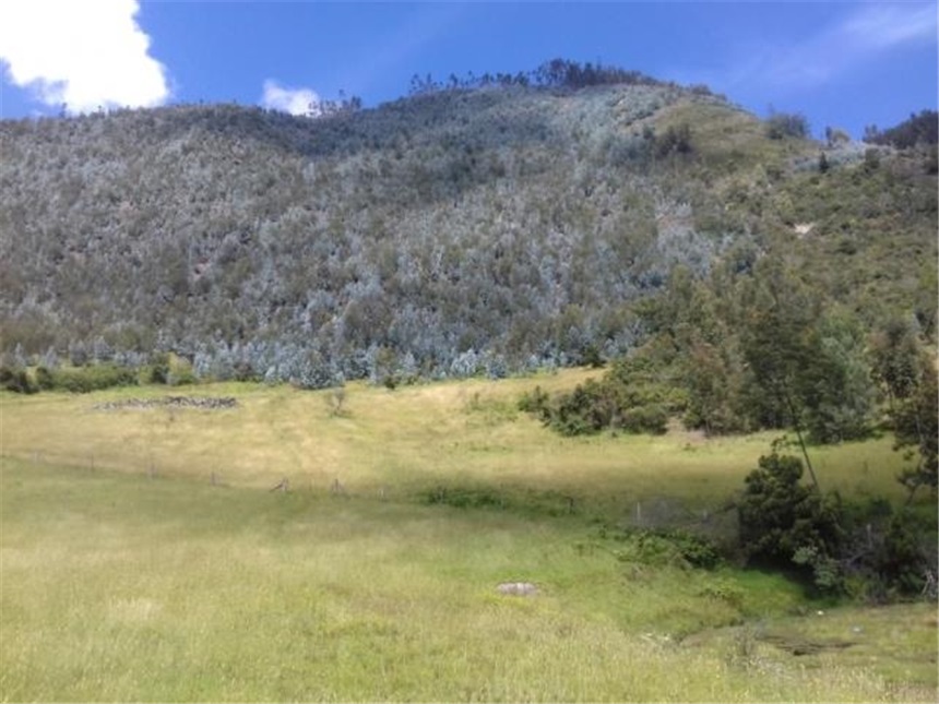 Lote en venta en Chuntame, Cajicá, 288 m² · foto 9 de 24