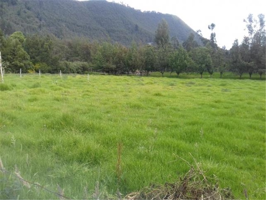 Lote en venta en Chuntame, Cajicá, 288 m² · foto 21 de 24