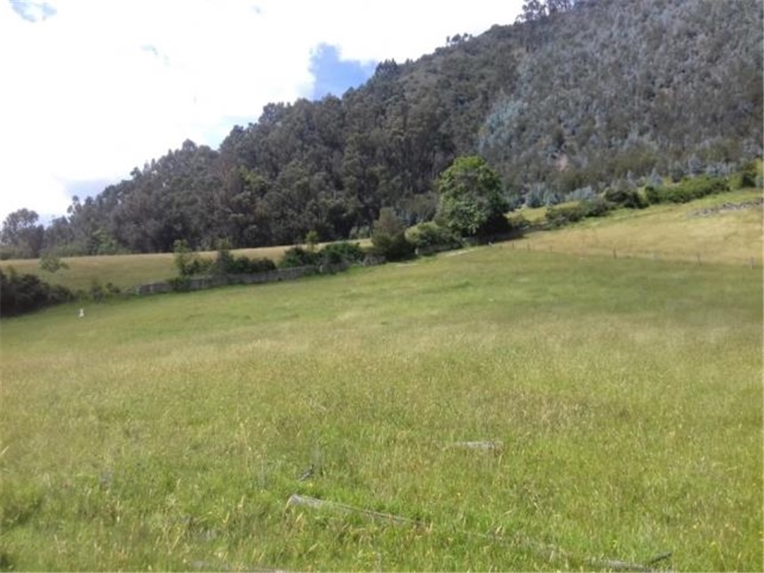Lote en venta en Chuntame, Cajicá, 288 m² · foto 8 de 24