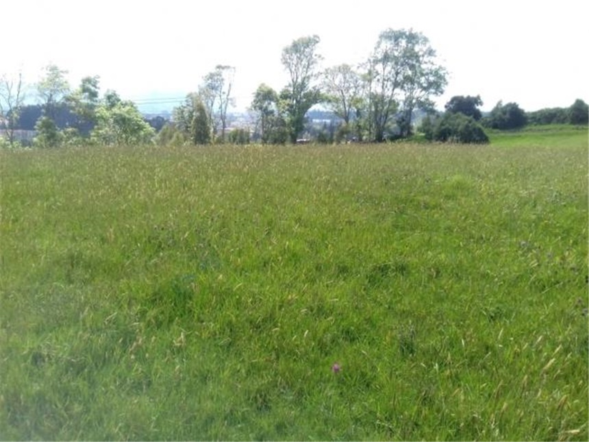 Lote en venta en Chuntame, Cajicá, 288 m² · foto 10 de 24