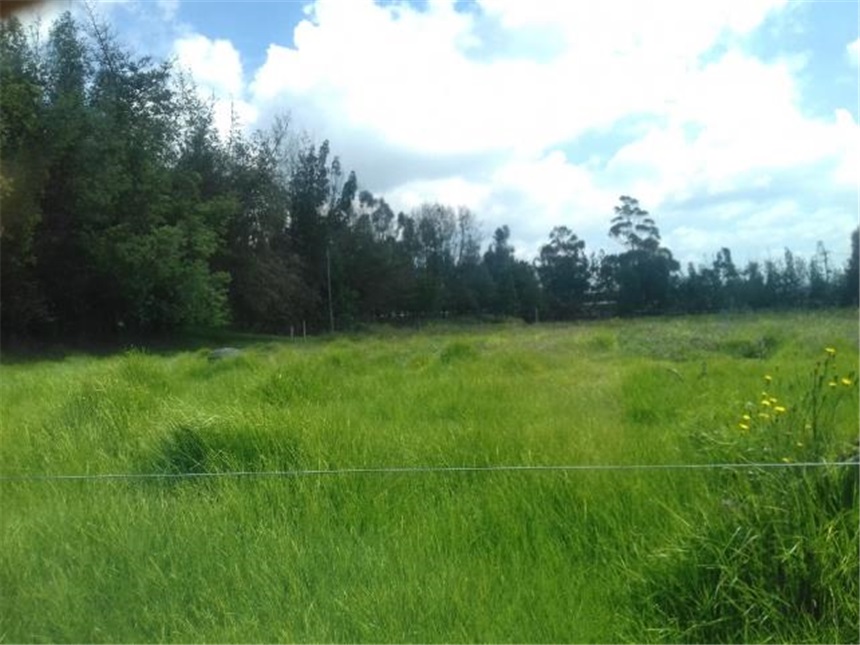 Lote en venta en Chuntame, Cajicá, 288 m² · foto 6 de 24