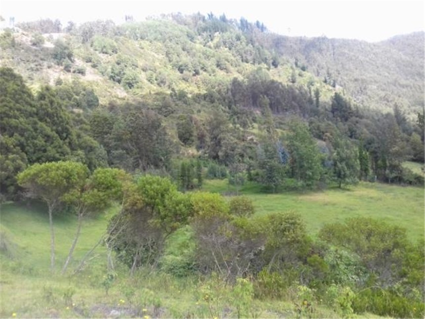 Lote en venta en Chuntame, Cajicá, 288 m² · foto 14 de 24