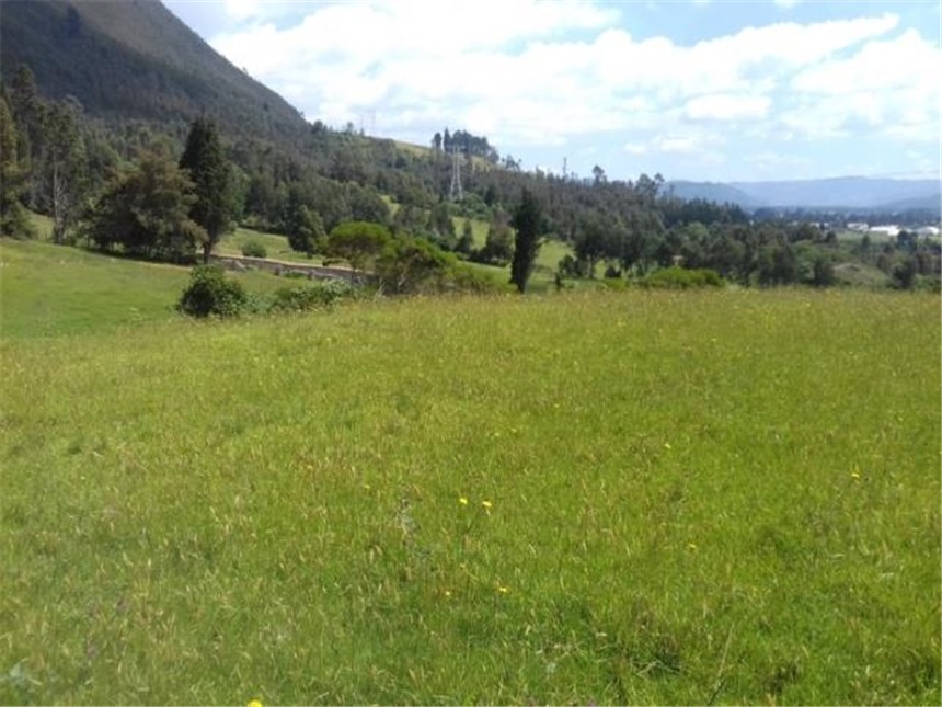 Lote en venta en Chuntame, Cajicá, 288 m² · foto 11 de 24