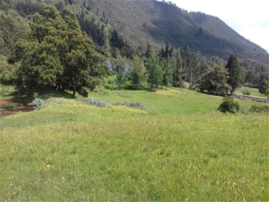Lote en venta en Chuntame, Cajicá, 288 m² · foto 12 de 24