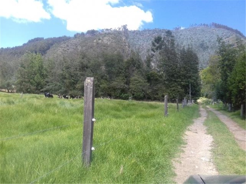 Lote en venta en Chuntame, Cajicá, 288 m² · foto 5 de 24