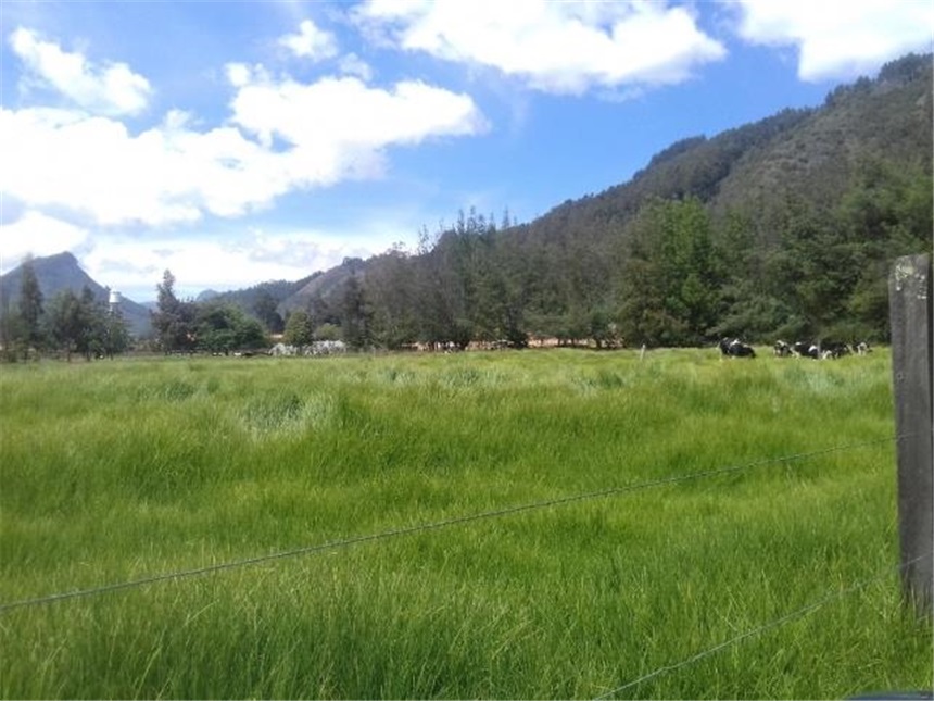 Lote en venta en Chuntame, Cajicá, 288 m² · foto 2 de 24