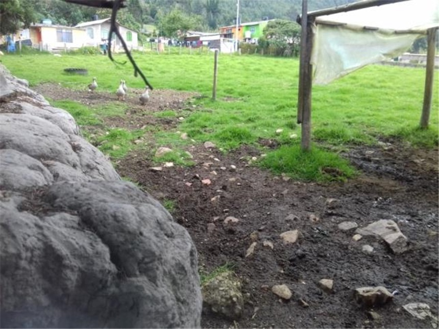 Lote en venta en Chuntame, Cajicá, 288 m² · foto 17 de 24