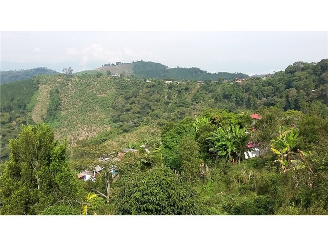 Finca en venta en La Caba�A, Manizales, 70000 m² · foto 2 de 24