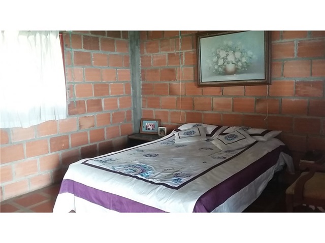 Finca en venta en La Caba�A, Manizales, 70000 m² · foto 10 de 24