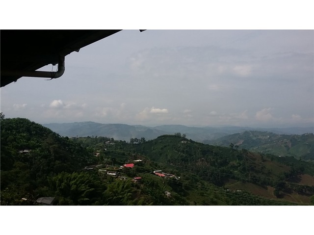 Finca en venta en La Caba�A, Manizales, 70000 m² · foto 16 de 24