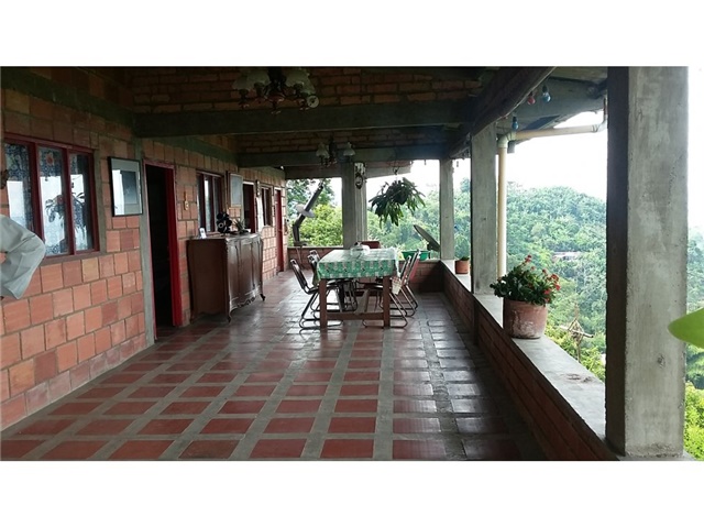 Finca en venta en La Caba�A, Manizales, 70000 m² · foto 19 de 24