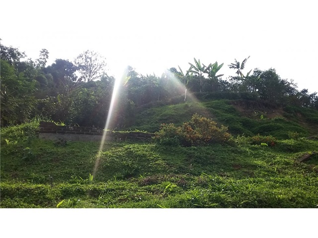 Finca en venta en La Caba�A, Manizales, 70000 m² · foto 20 de 24