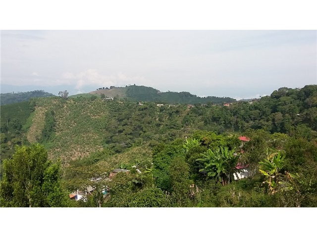 Finca en venta en La Caba�A, Manizales, 70000 m² · foto 21 de 24