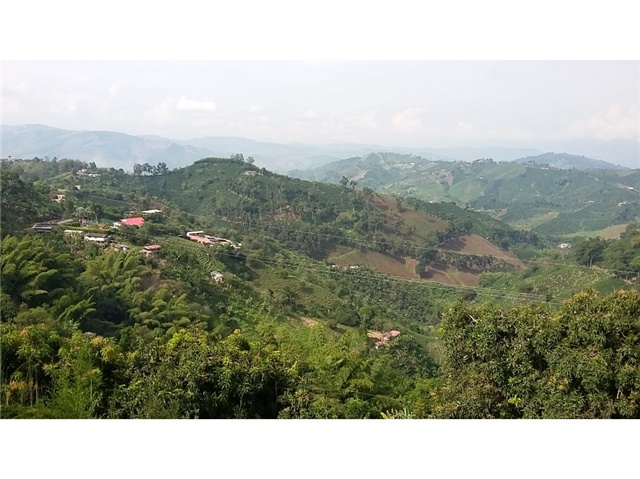 Finca en venta en La Caba�A, Manizales, 70000 m² · foto 22 de 24