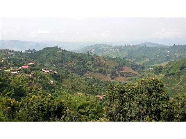 Finca en venta en La Caba�A, Manizales, 70000 m² · foto 23 de 24