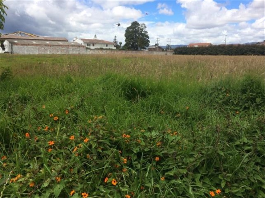 Lote en venta en Cota, 19 m² · foto 12 de 20