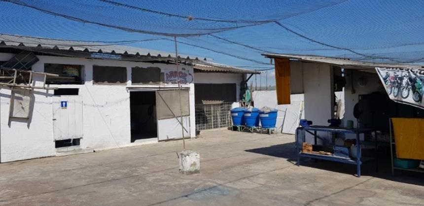 Bodega en venta en San Rafael, Bucaramanga, 800 m² · foto 12 de 24