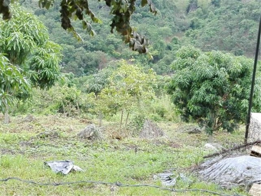 Casa Lote en Venta - More