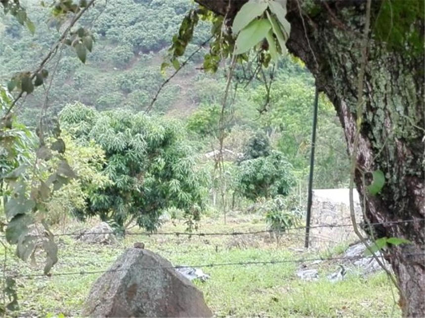 Casa Lote en Venta - View 6