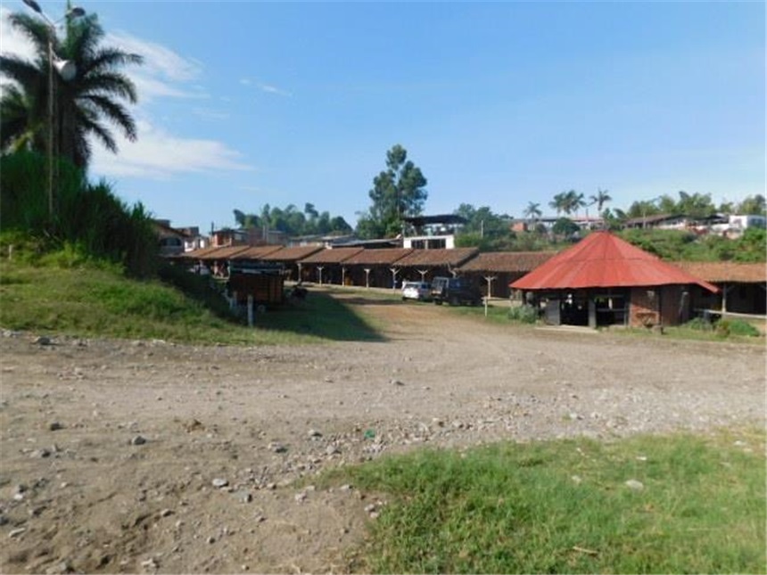Finca en venta en Alto Tablazo, Manizales, 12400 m² · foto 11 de 24