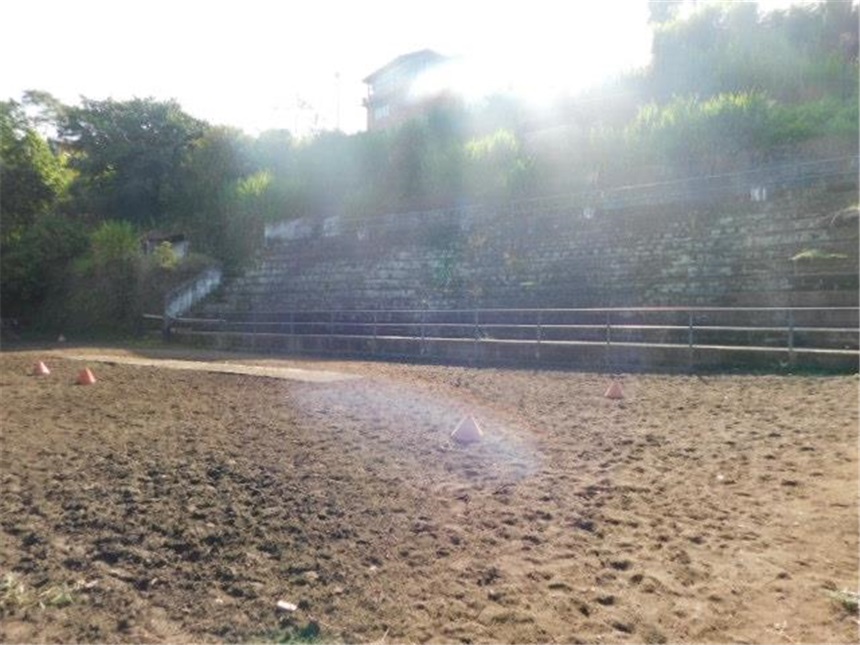 Finca en venta en Alto Tablazo, Manizales, 12400 m² · foto 12 de 24