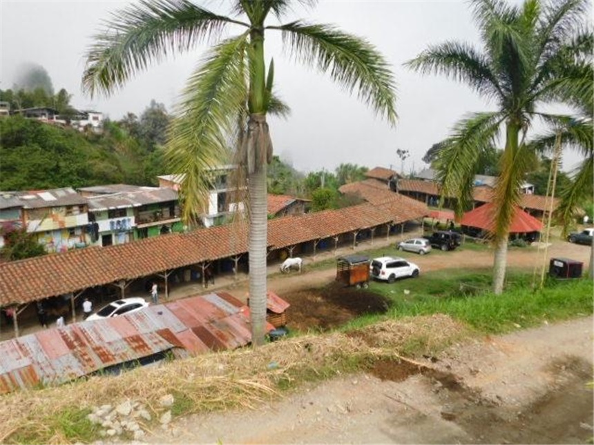 Finca en venta en Alto Tablazo, Manizales, 12400 m² · foto 3 de 24