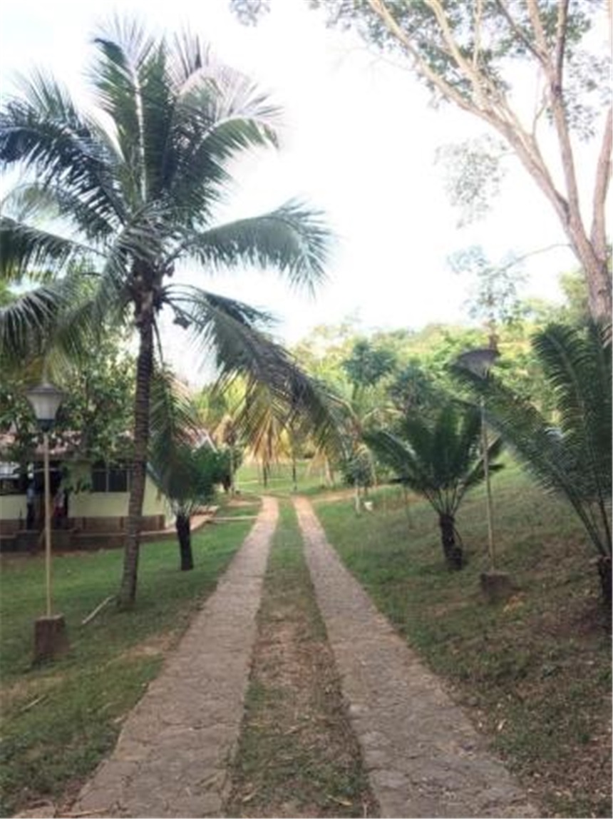 Finca en Venta – pohled 3
