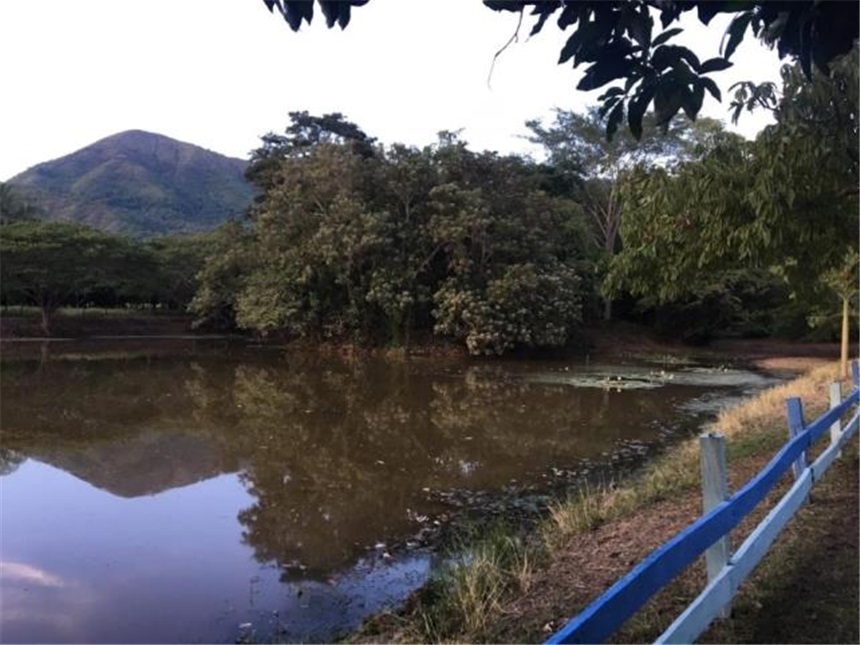 Finca en Venta – další